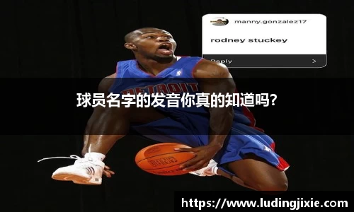 必发365·电子游戏