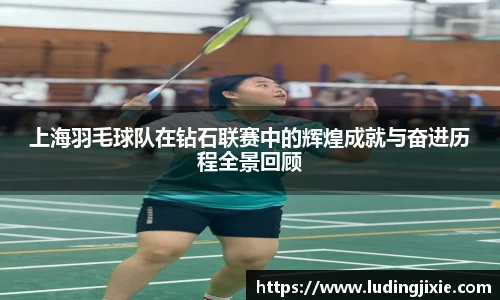 上海羽毛球队在钻石联赛中的辉煌成就与奋进历程全景回顾
